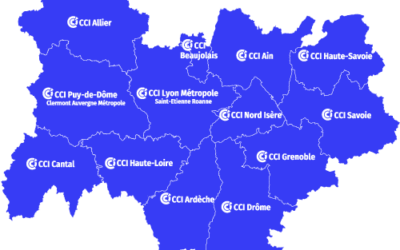 CSE CCI Auvergne Rhône-Alpes du 3 octobre 2024